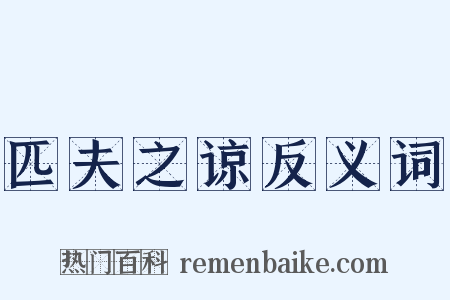 匹夫之谅反义词是什么意思的图片